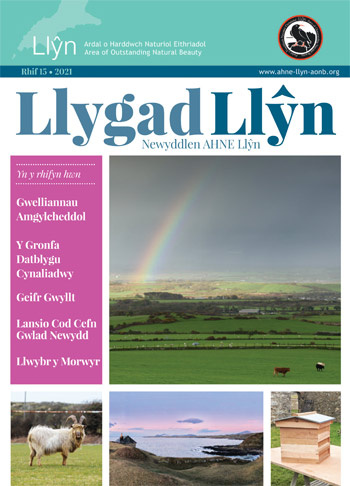 Llygad Llyn 15