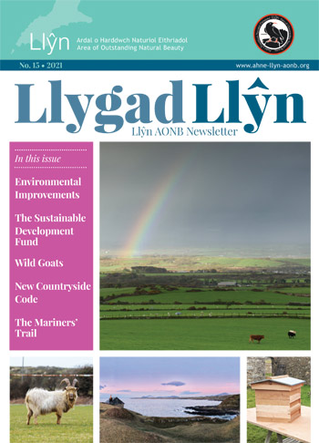 Llygad Llyn 15