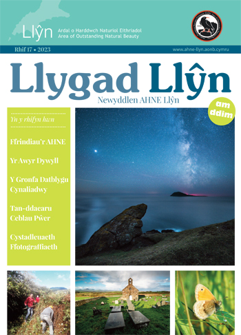 Llygad Llŷn